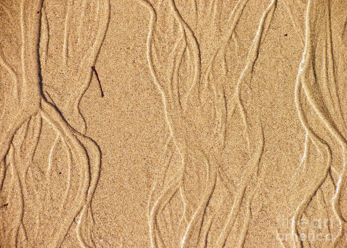 Texture Greeting Card featuring the photograph Sand Texture 2 by David Doucot