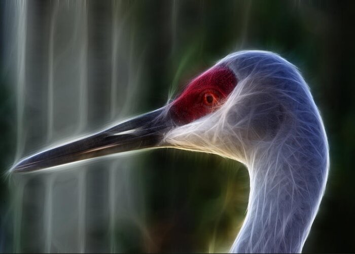 Sandhill Crane Greeting Card featuring the photograph Sandhill Electric by Prism Light Studios