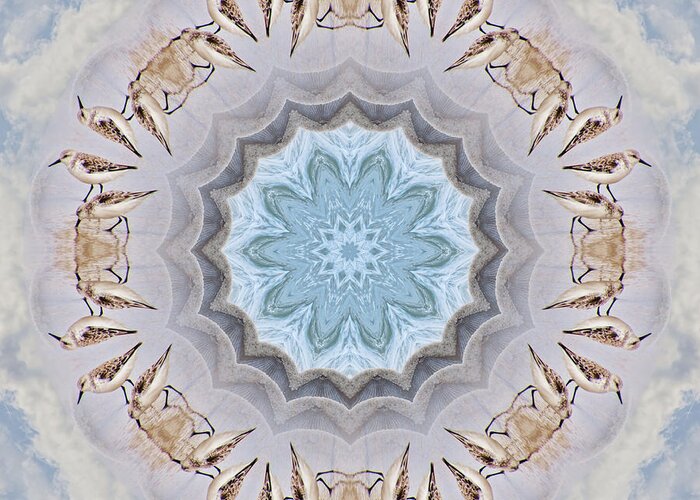 Sand Piper Greeting Card featuring the photograph Sandpiper Mandala by Beth Venner