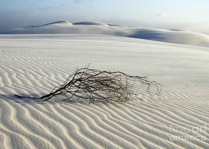 Lencois Maranhenses Greeting Card featuring the photograph Sands Of Time Brazil by Bob Christopher