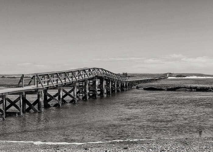 2014 Greeting Card featuring the photograph Sandwich Boardwalk by Matt Owen