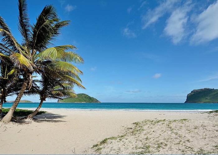 Sandy Greeting Card featuring the photograph Sandy Beach and Maria Island - St. Lucia by Brendan Reals