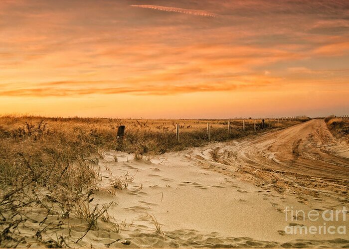North America Greeting Card featuring the photograph Sandy Road Leading to the Beach by Sabine Jacobs