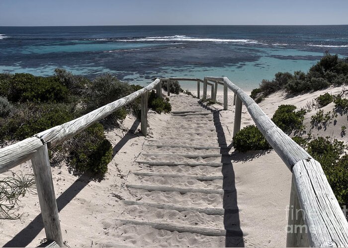 Rottnest Greeting Card featuring the photograph Sandy Steps by Rob Hawkins