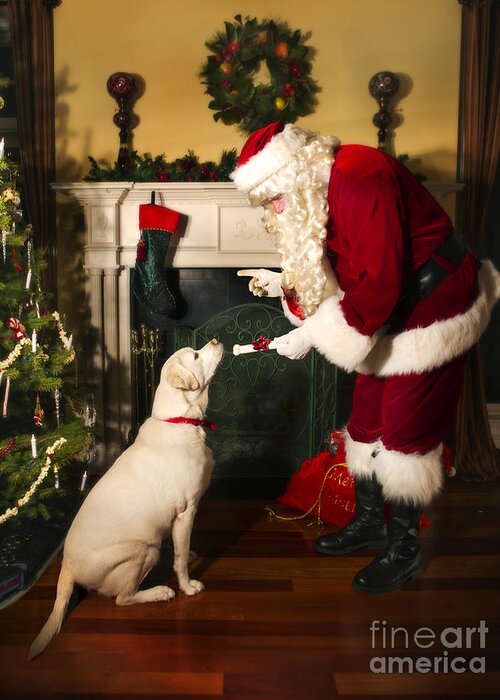 Santa Greeting Card featuring the photograph Santa Giving the Dog a Gift by Diane Diederich