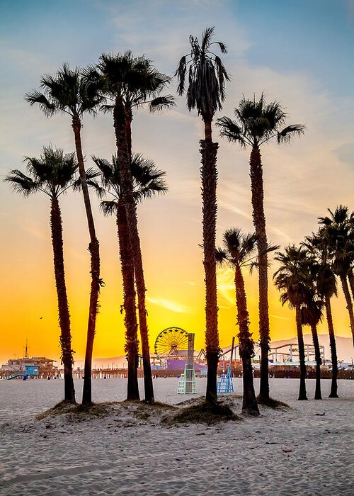 Los Angeles Greeting Card featuring the photograph Santa Monica Palms by Az Jackson