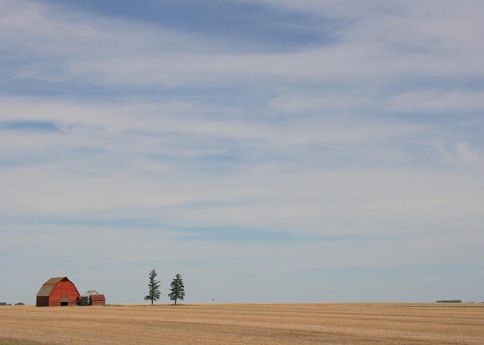 Big Sky Greeting Card featuring the photograph Saskatchewan by Betty-Anne McDonald