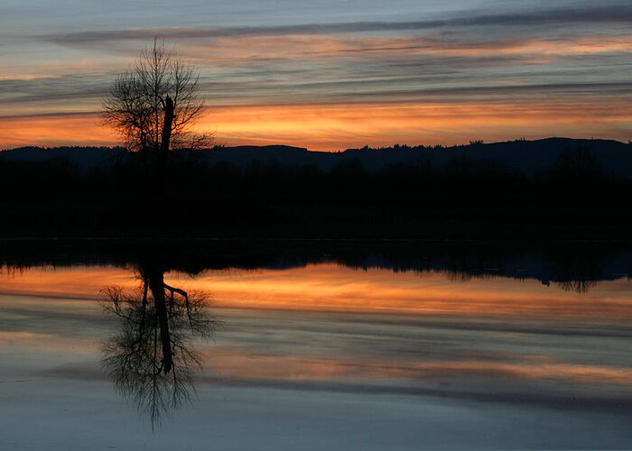 Oregon Greeting Card featuring the photograph Sauvie Island by Steve Parr