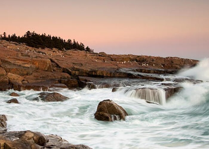 Acadia Greeting Card featuring the photograph Schoodic Point - Acadia National Park by Patrick Downey
