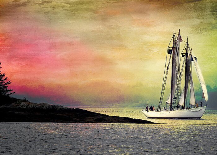 Arctic Greeting Card featuring the photograph Schooner Bowdoin by Fred LeBlanc