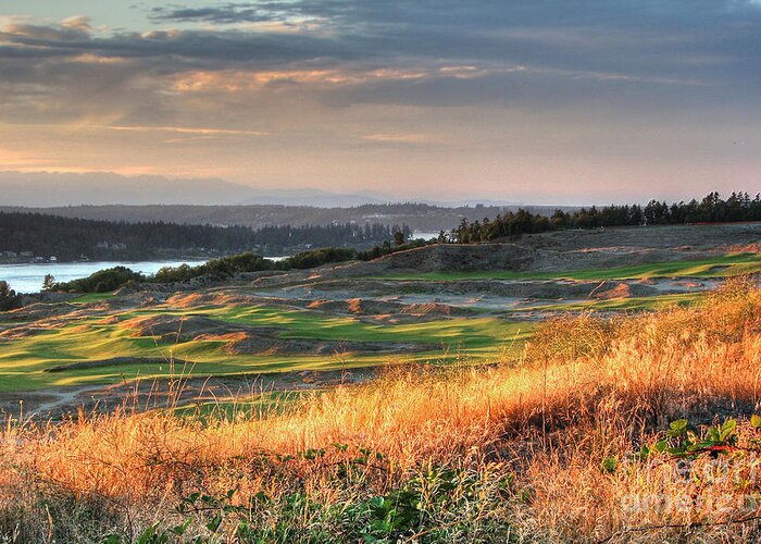 Chambers Creek Greeting Card featuring the photograph Scottish Style Links in September - Chambers Bay Golf Course by Chris Anderson