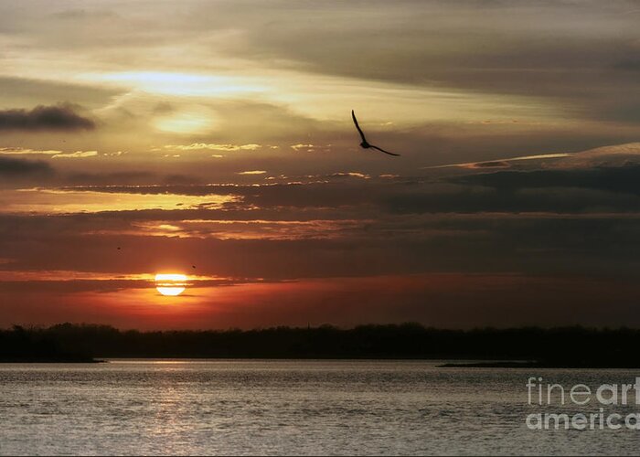 Sea Bright Greeting Card featuring the photograph Sea Bright Sunset by Debra Fedchin
