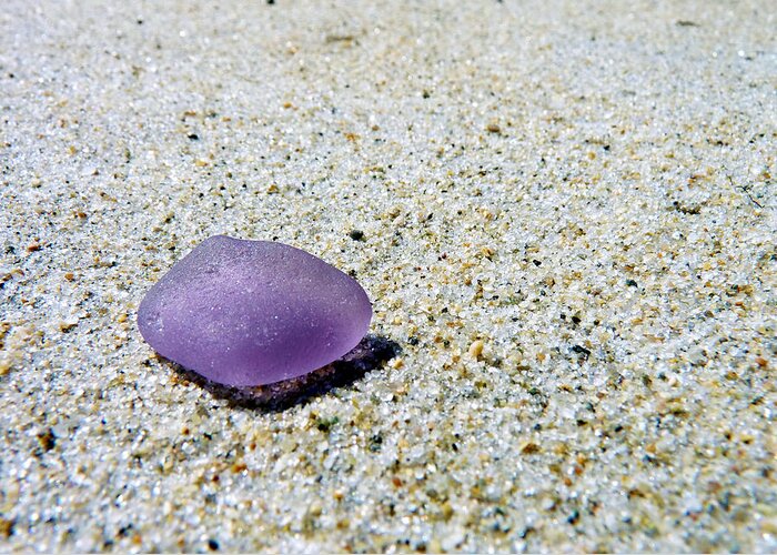 Janice Drew Greeting Card featuring the photograph Sea glass in amethyst by Janice Drew