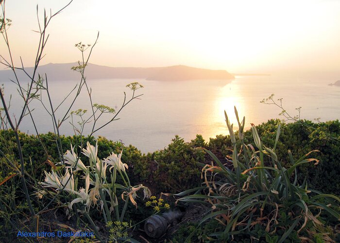 Alexandros Daskalakis Greeting Card featuring the photograph White Lilies and Sunset by Alexandros Daskalakis