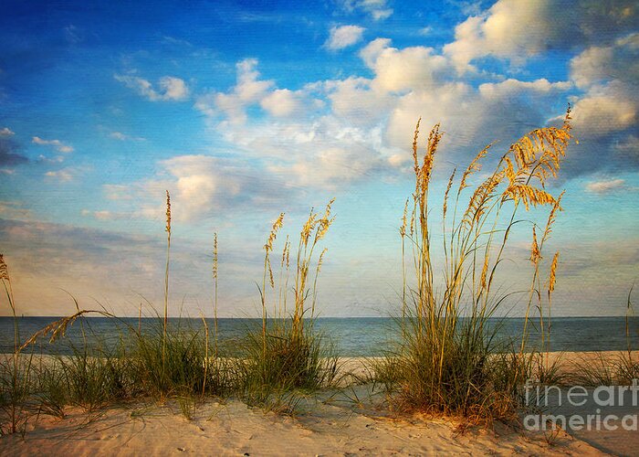  Beach Greeting Card featuring the photograph Sea Oats at Sunset by Joan McCool