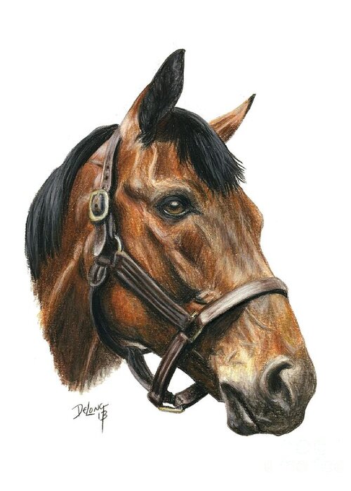 Seabiscuit Greeting Card featuring the painting Seabiscuit by Pat DeLong