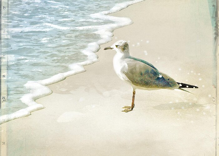 Seagull Greeting Card featuring the photograph Marco Island Seagull by Karen Lynch