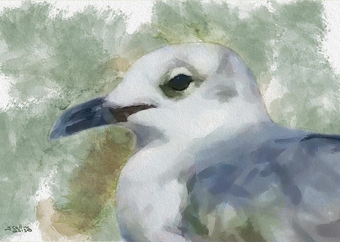 Seagull Greeting Card featuring the painting Seagull Closeup by Greg Collins