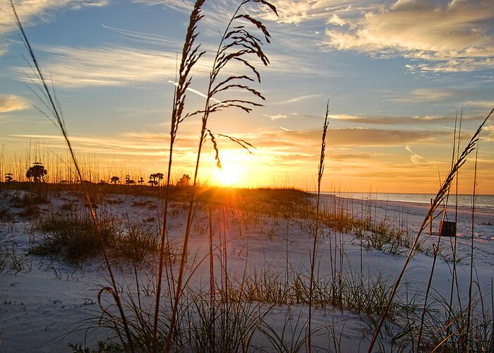 Palm Greeting Card featuring the digital art Seaoats Sunrise by Michael Thomas