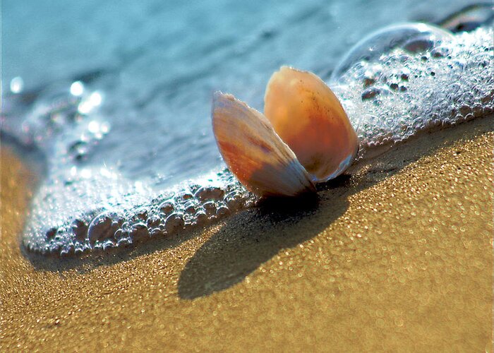 Outdoor Greeting Card featuring the photograph Seashell On The Coast With Wave And Bubble by Raimond Klavins