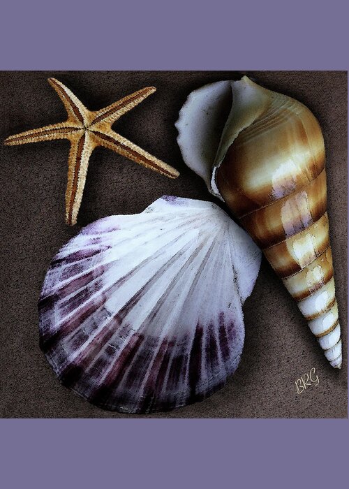 Seashell Greeting Card featuring the photograph Seashells Spectacular No 37 by Ben and Raisa Gertsberg