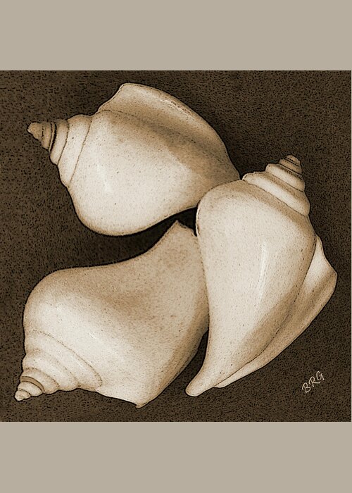 Seashell Greeting Card featuring the photograph Seashells Spectacular No 4 by Ben and Raisa Gertsberg