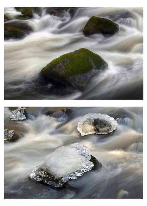 River Greeting Card featuring the photograph Seasons No. 1 by Geoffrey Coelho