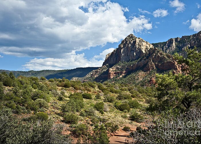 Travel Greeting Card featuring the photograph Sedona Desert Under Cloudy Skies by Lee Craig