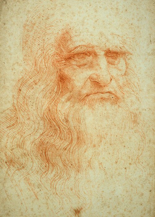 Male Greeting Card featuring the drawing Self Portrait by Leonardo da Vinci