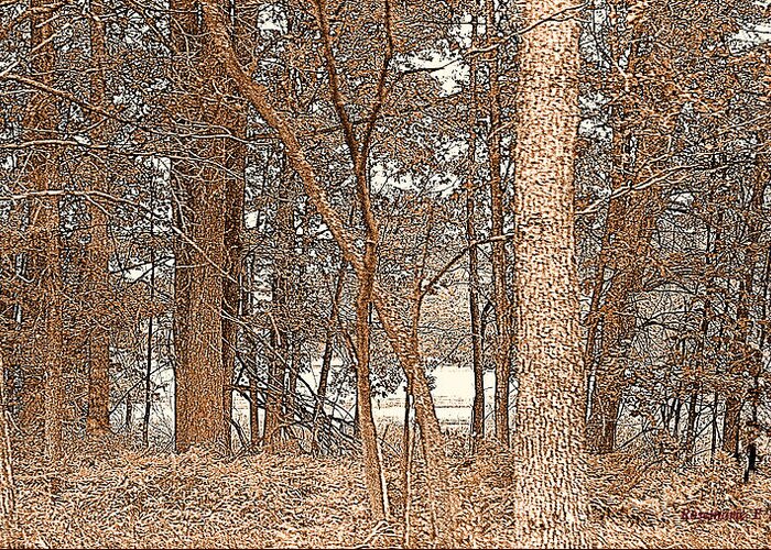Sepia Tone Trees Manistee National Forest Textures Calming Pines Oaks Pond Wetlands Ash Ferns Wild Grasses Wildflowers Cottonwoods River Birchs Trees From The Forest Dead Trees Live Trees Tranquil Brown Rust Silver Blue Dnr Office Forest Ranger Office Entry Attorney Doctors Hospital Office Corridors Artwork Rosemarie E Seppala's Artwork & Photography Digital Photography Artwork Pure Michigan Mid Northern Michigan Michigan Living Michigan Waterland Country Entryway Formal Living Room Greeting Card featuring the photograph Sepia Tone Trees Manistee National Forest by Rosemarie E Seppala