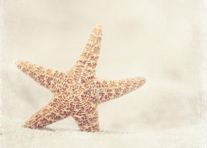 Starfish Greeting Card featuring the photograph Serendipity - Beach Photography by Carolyn Cochrane