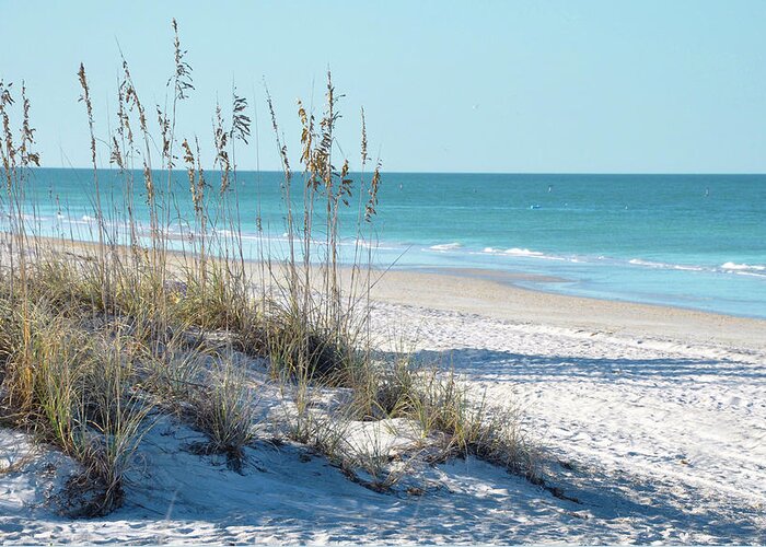 Sea Oats Greeting Card featuring the photograph Serene Florida Beach Scene by Rebecca Brittain