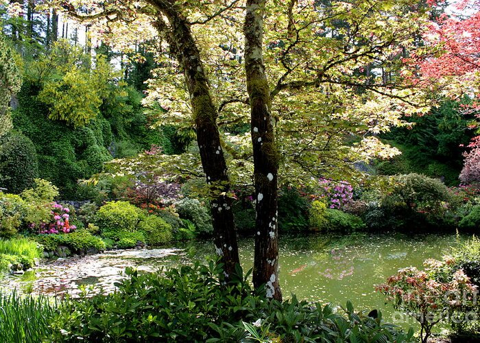 Peaceful Gardens Greeting Card featuring the photograph Serene Garden Retreat by Carol Groenen