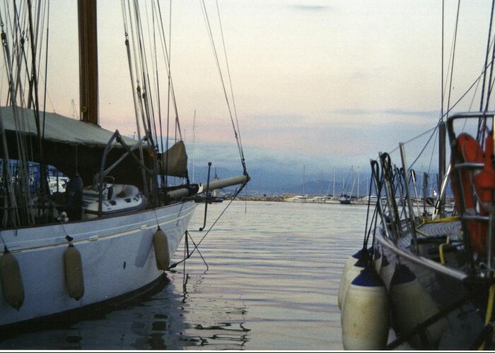 Yacht's Greeting Card featuring the photograph Set Sail by Taria Cavell Chesterman