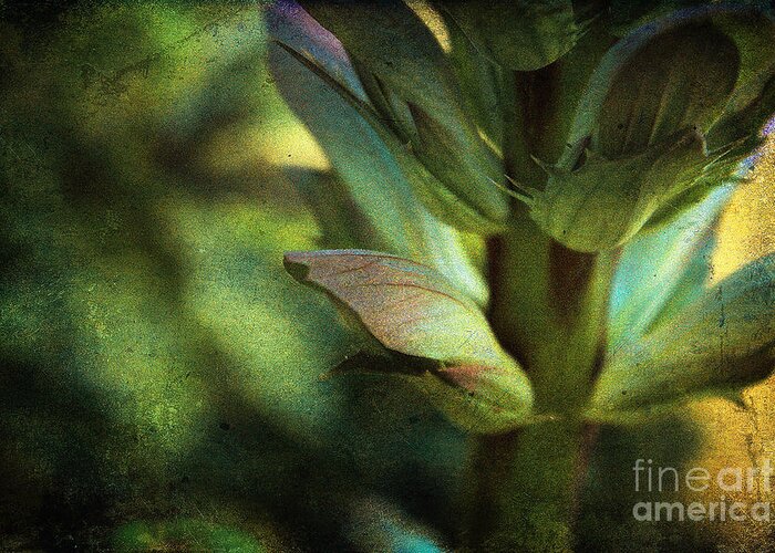 Green Greeting Card featuring the photograph Shades of Green by Ellen Cotton