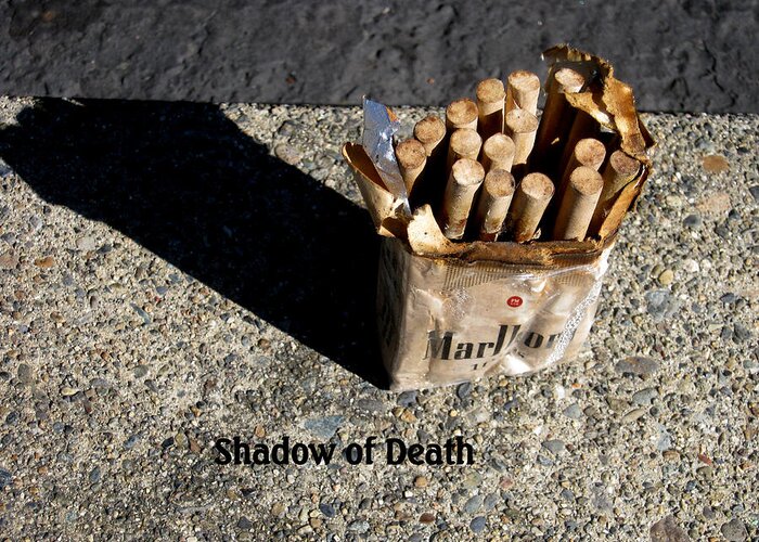 Shadow Greeting Card featuring the photograph Shadow of Death by Marie Neder