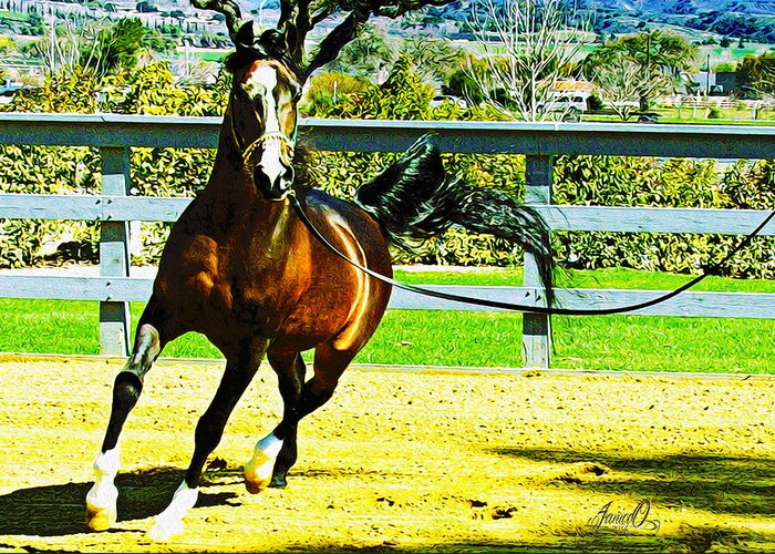 Arabian Horse Greeting Card featuring the digital art Shai by Janice OConnor