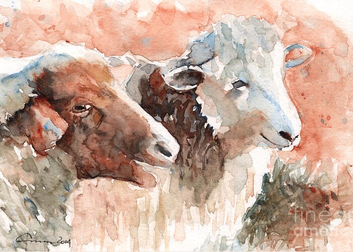 Sheep Greeting Card featuring the painting Sheep by Claudia Hafner