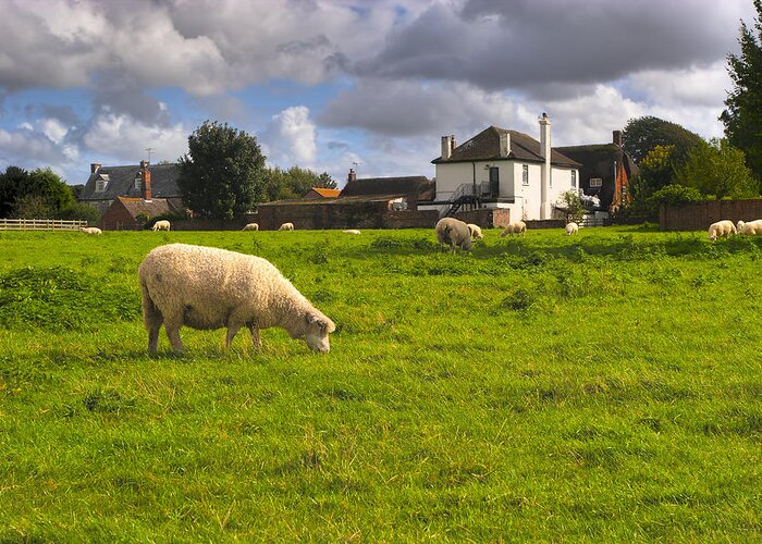 English Village Greeting Card featuring the photograph Sheep Grazing In The British Countryside - Avebury by Mark Tisdale