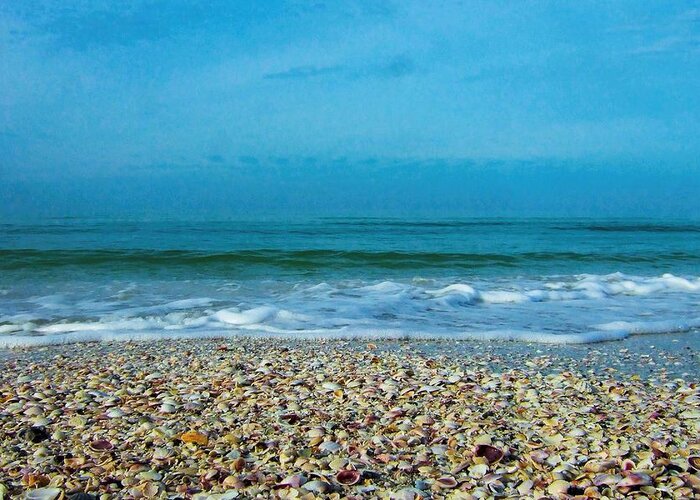 Beach Greeting Card featuring the photograph Shells at the Shoreline by Steve Ondrus