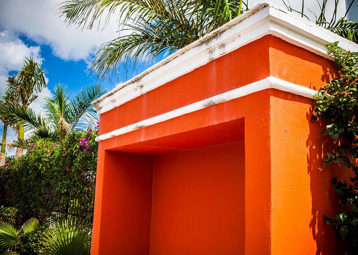 Palm Greeting Card featuring the photograph Shelter Orange by Melinda Ledsome