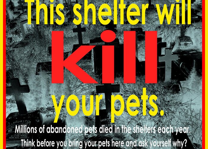 Puppy Greeting Card featuring the photograph Shelter will kill your pets by Christopher Shellhammer