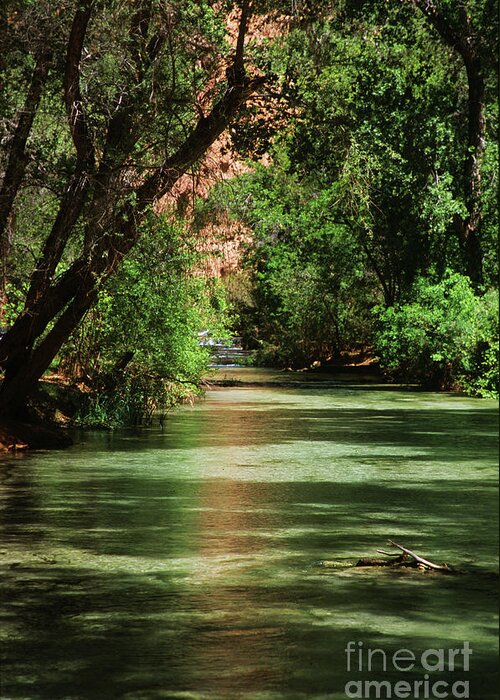 Havasupai Greeting Card featuring the photograph Shimmering by Kathy McClure
