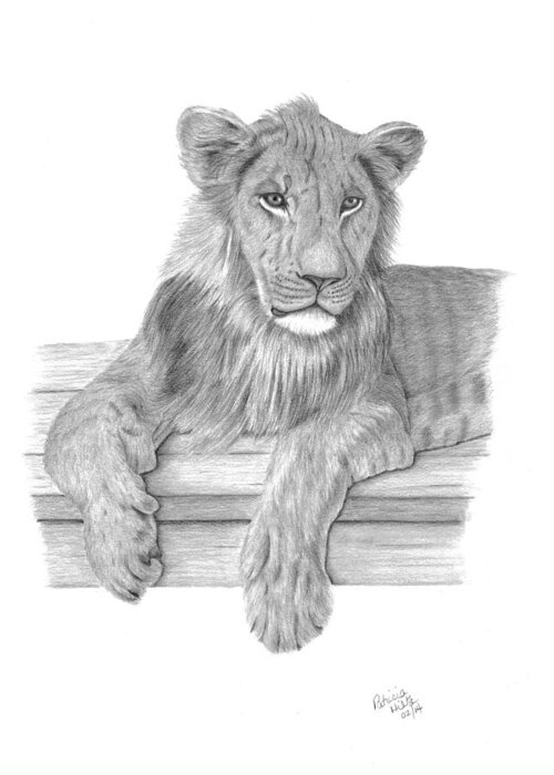 Lion Greeting Card featuring the drawing Strek The Future King by Patricia Hiltz