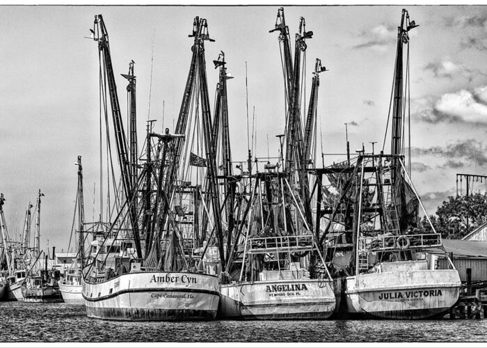 Black And White Greeting Card featuring the photograph Shrimp Boats by Robert FERD Frank