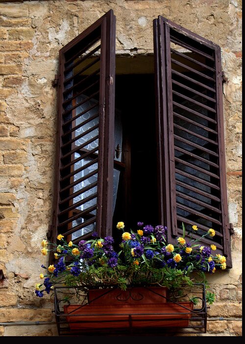Italy Greeting Card featuring the photograph Shutters and Flowers by Caroline Stella