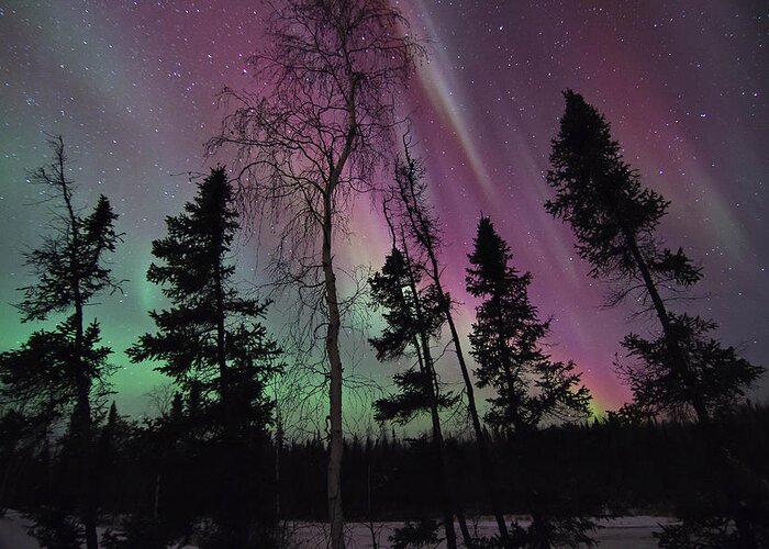 Aurora Borealis Greeting Card featuring the photograph Silence of the Night by Valerie Pond