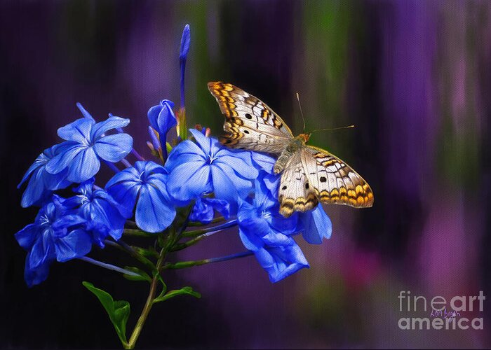 Butterfly Greeting Card featuring the digital art Silver and Gold by Lois Bryan