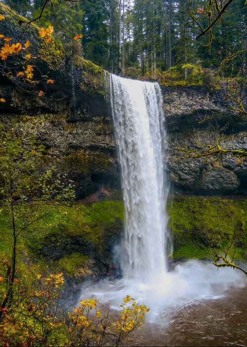 Silver Falls Greeting Card featuring the photograph Silver Falls - South Falls by Dennis Bucklin
