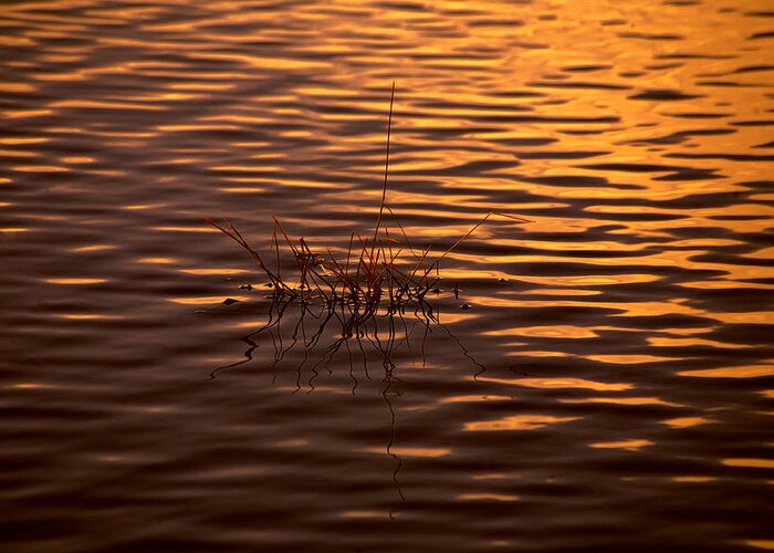 Rippled Water Greeting Card featuring the photograph Simple Sunset by Bonnie Bruno
